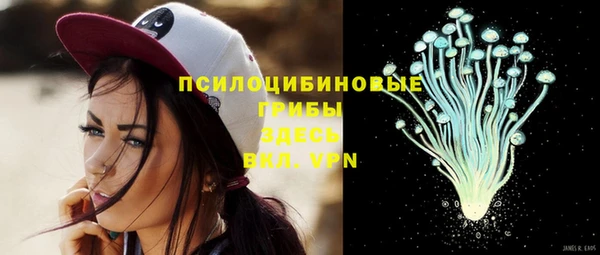амф Бугульма