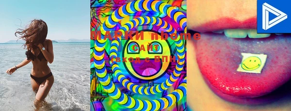 ECSTASY Тайга