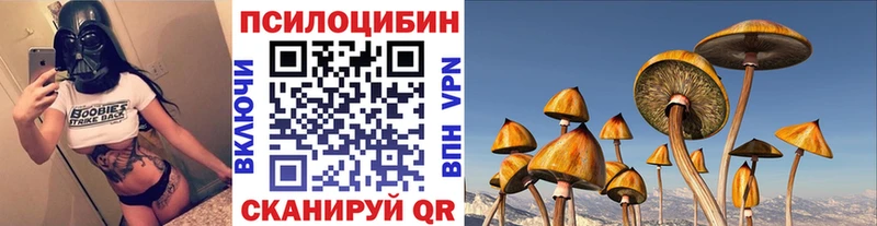 наркошоп  Киселёвск  Псилоцибиновые грибы Cubensis 