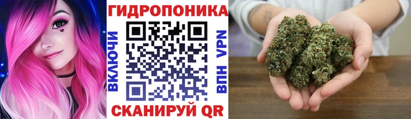 Бошки Шишки марихуана Киселёвск